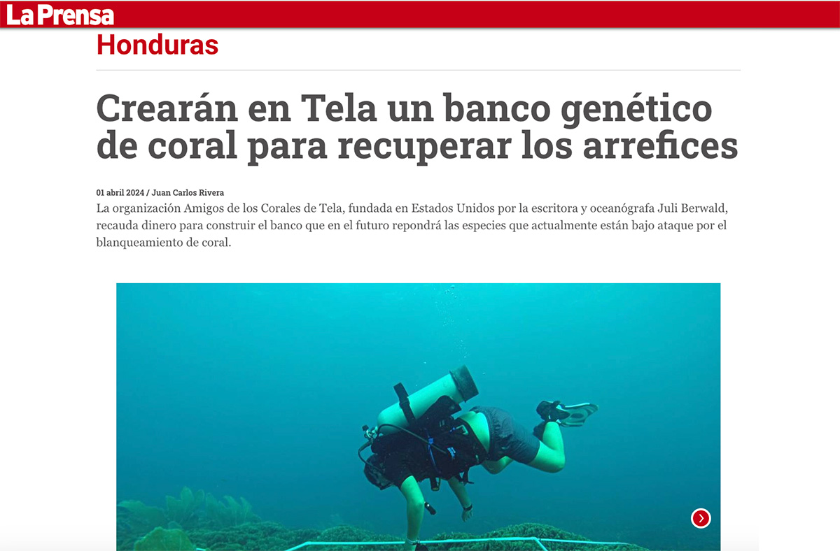 La Prensa Web Screenshot of Article